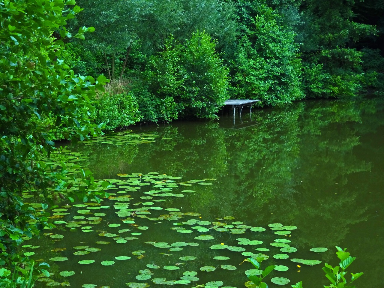 Angelteich in der nähe: ein Tag zum Entspannen